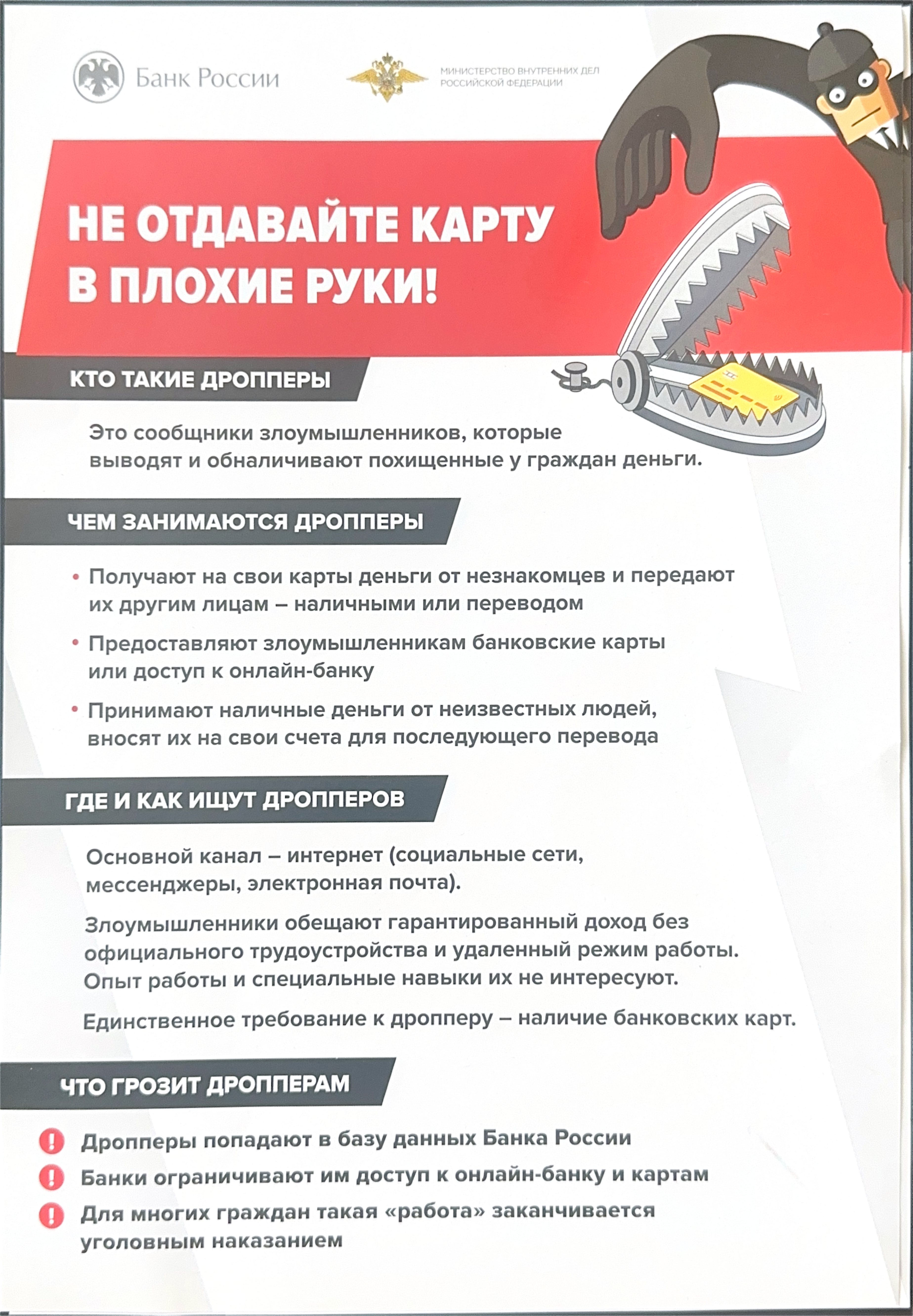 Картинка 3